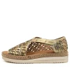Women DJANGO & JULIETTE Alkiet Lrg Desert Stripe