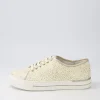 Women ZIERA Ashleen W White Multi Sneakers