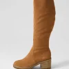 Women MOLLINI Balt Tan Natural Heel Suede Knee High Boots