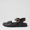 Women ZIERA Hammil W Black Leather Sandals