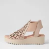 Women DJANGO & JULIETTE Odate Cafe Nude Leather Sandals