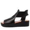 Women DJANGO & JULIETTE Ozie Black-Tan Leather