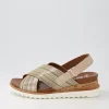 Women ARA Valencia 06 Sand Multi Leather Sandals