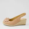 Women ZIERA Wawer W Cafe Leather Sandals