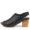 Women DJANGO & JULIETTE Zimmy Navy Leather